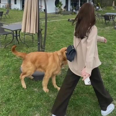 生生舞不息